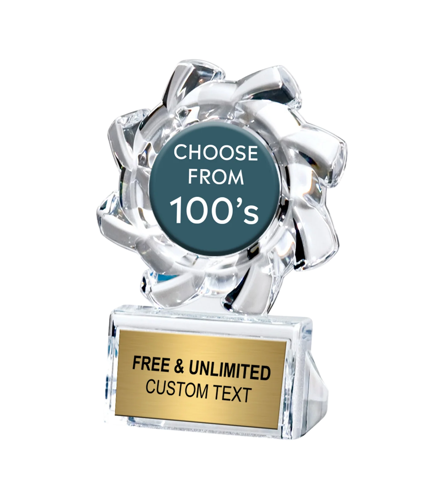 Acrylite Sunflower Insert Trophy