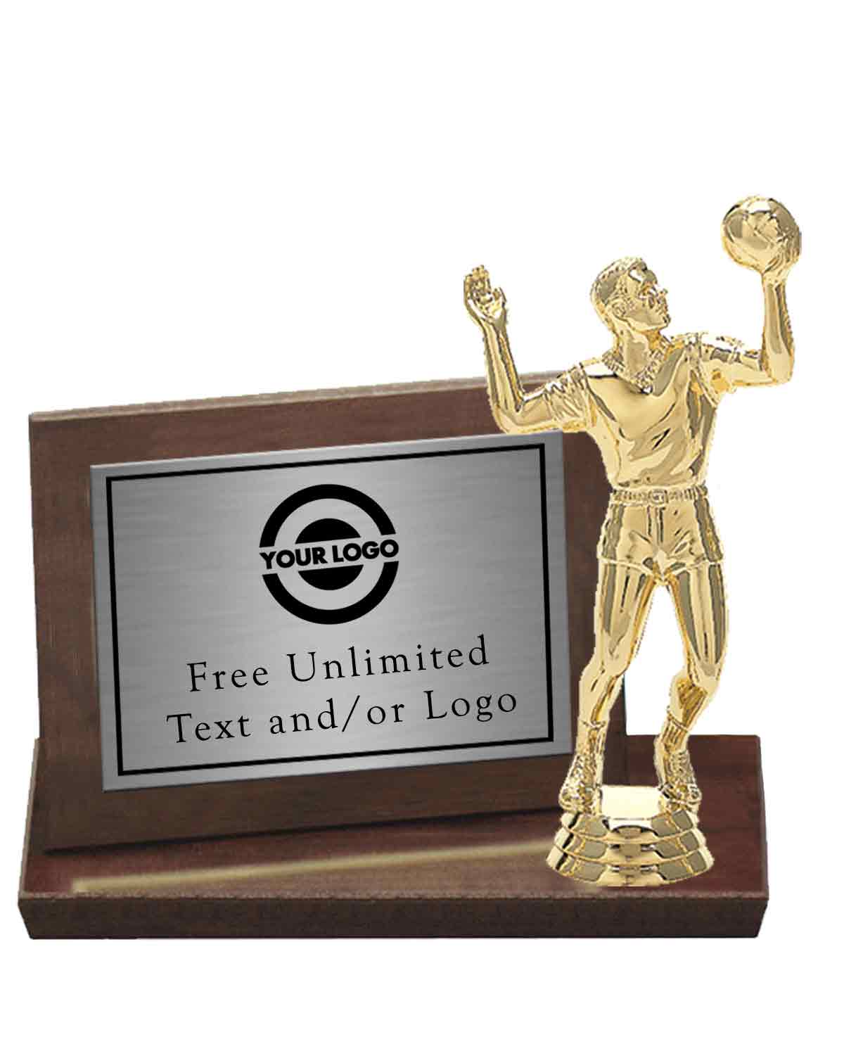 Cherry Billboard Plaque with Volleyball Topper - Image 2