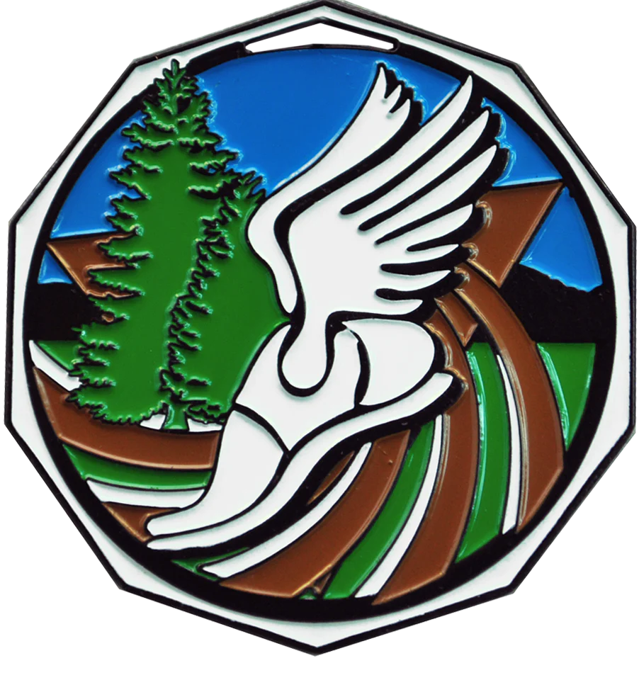 Bright Color Cross Country Medal