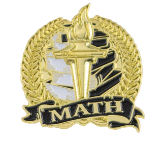 Bright Gold Math Lapel Pin