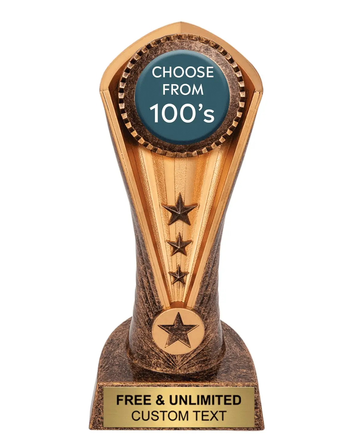 Cobra Insert Award - Image 2