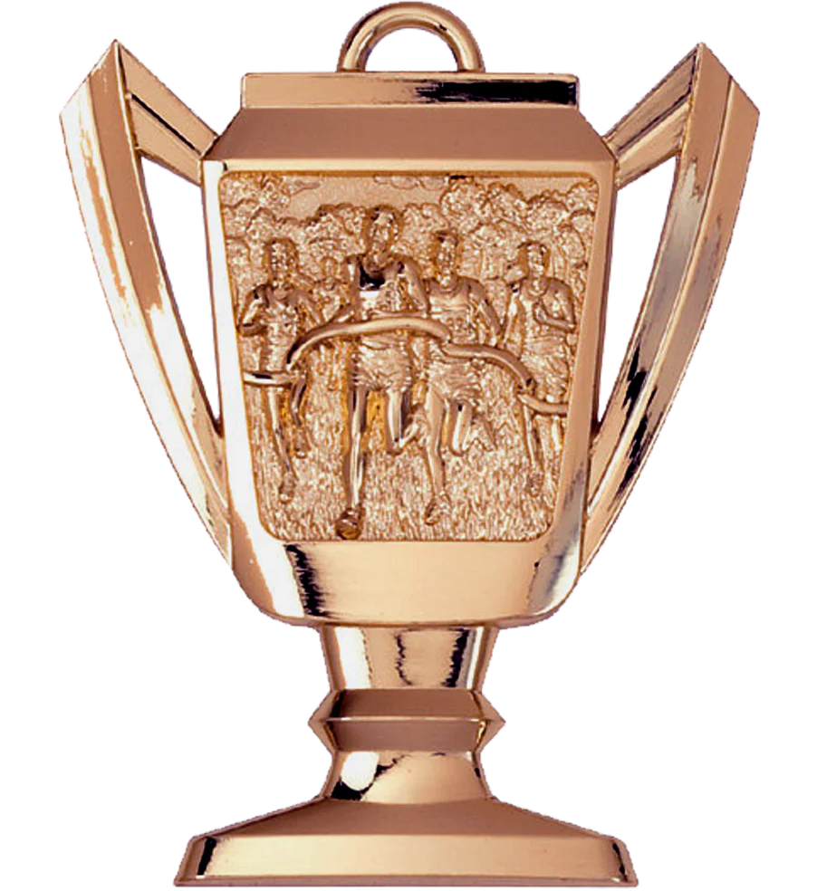 Cross Country Trophy Medal - Image 3