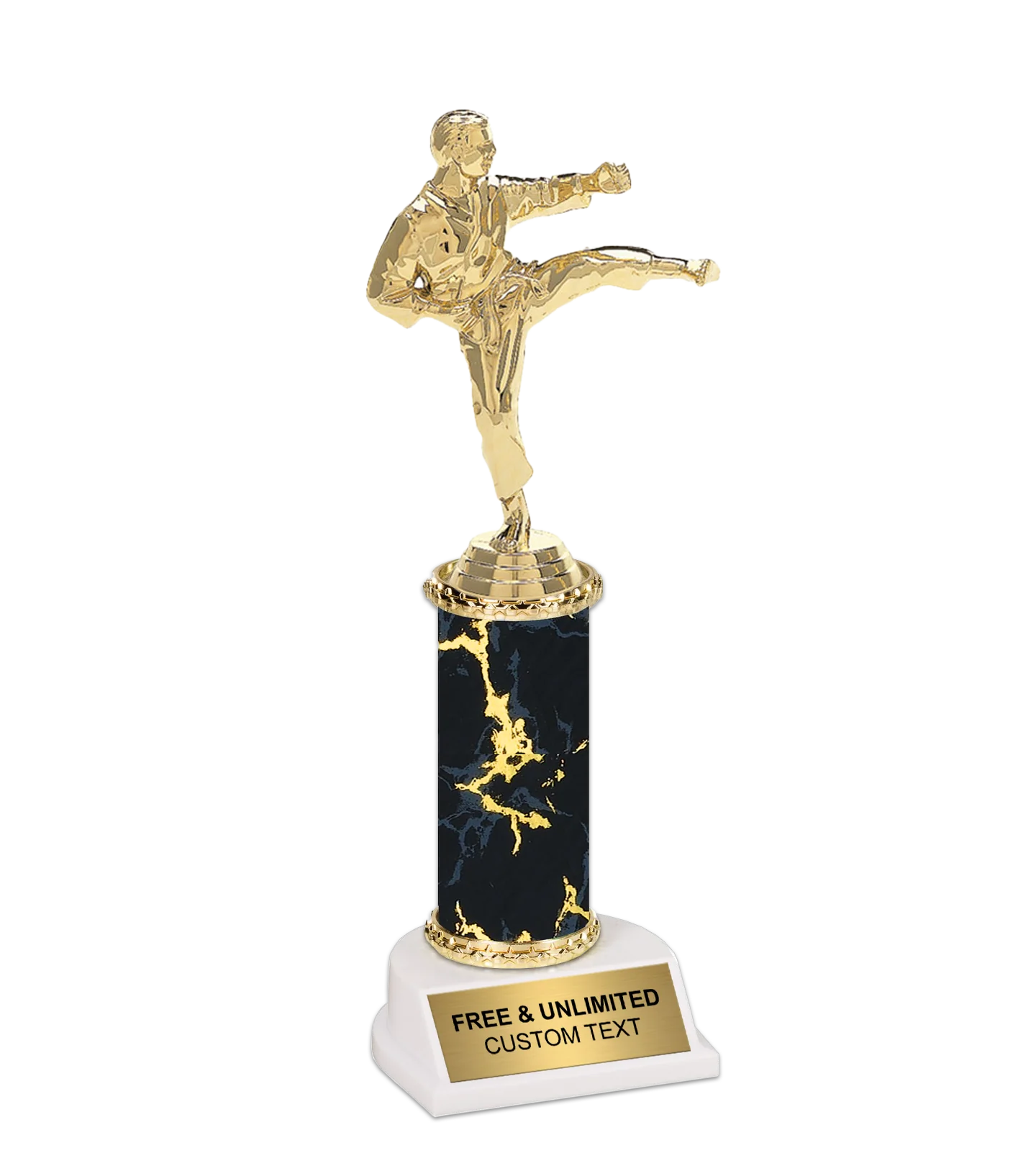 Epic Martial Arts Trophy