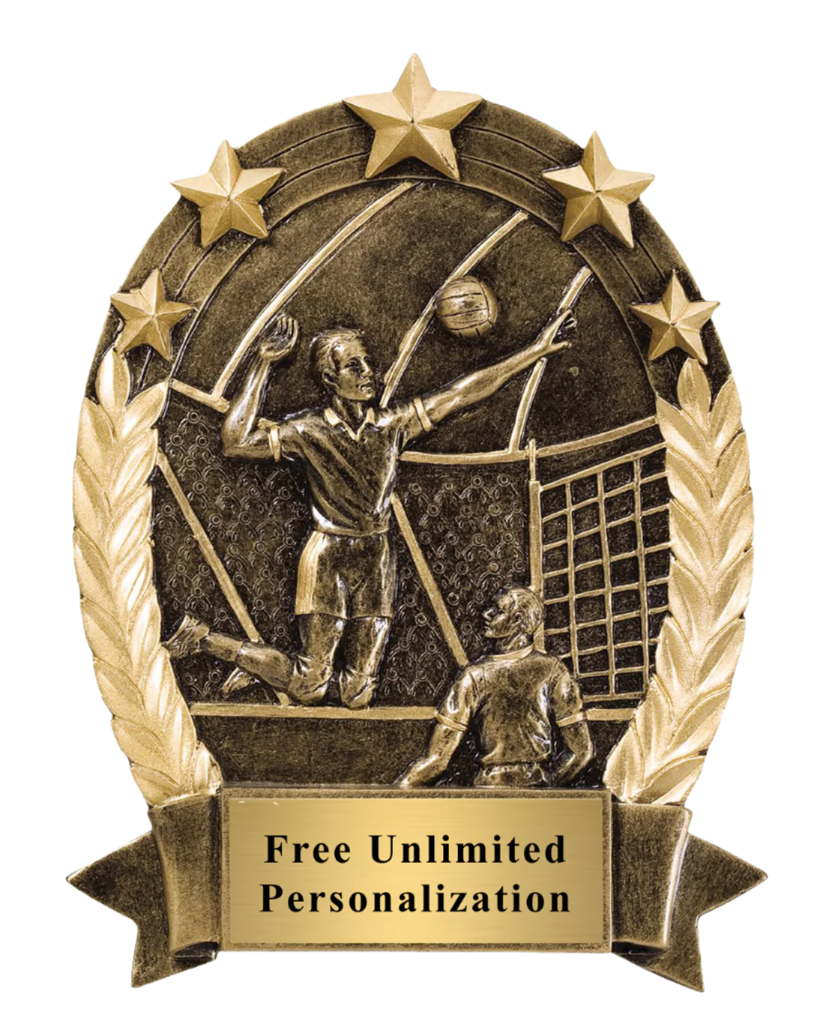 Five Star Oval Volleyball Award - Male