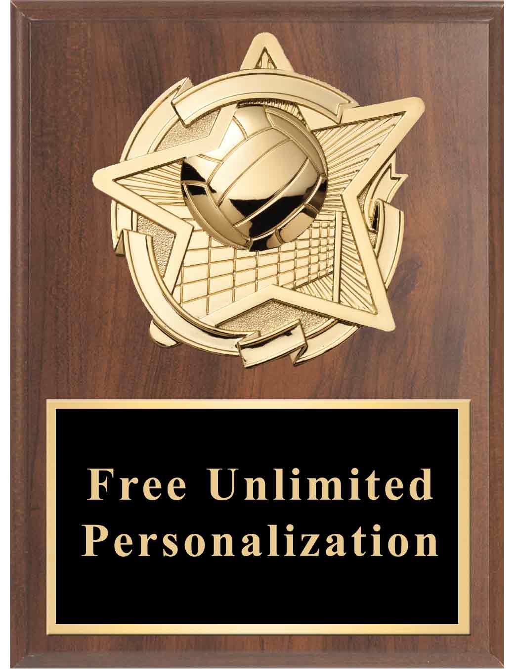 Gold Star Volleyball Standout Plaque