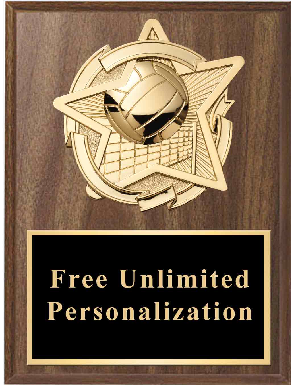 Gold Star Volleyball Standout Plaque - Image 2