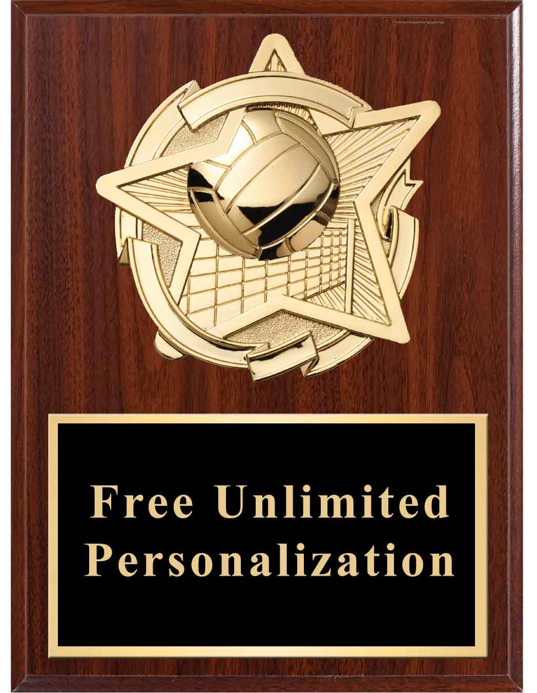 Gold Star Volleyball Standout Plaque - Image 3