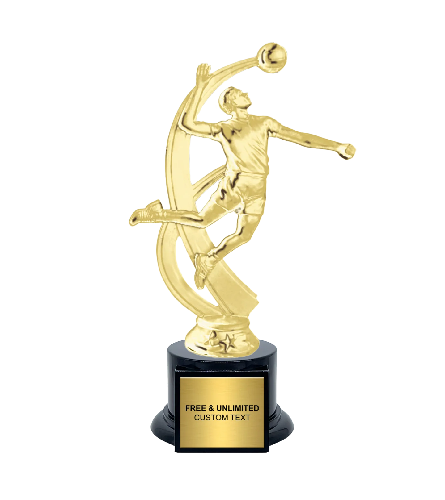 Motion Male Volleyball Trophy