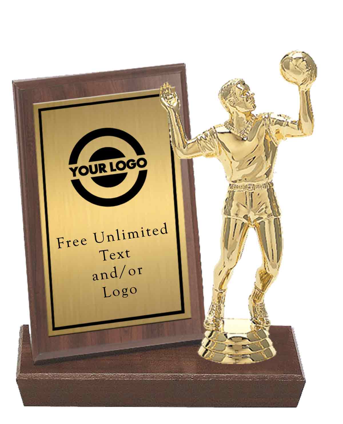 MVP Plaque with Volleyball Figure