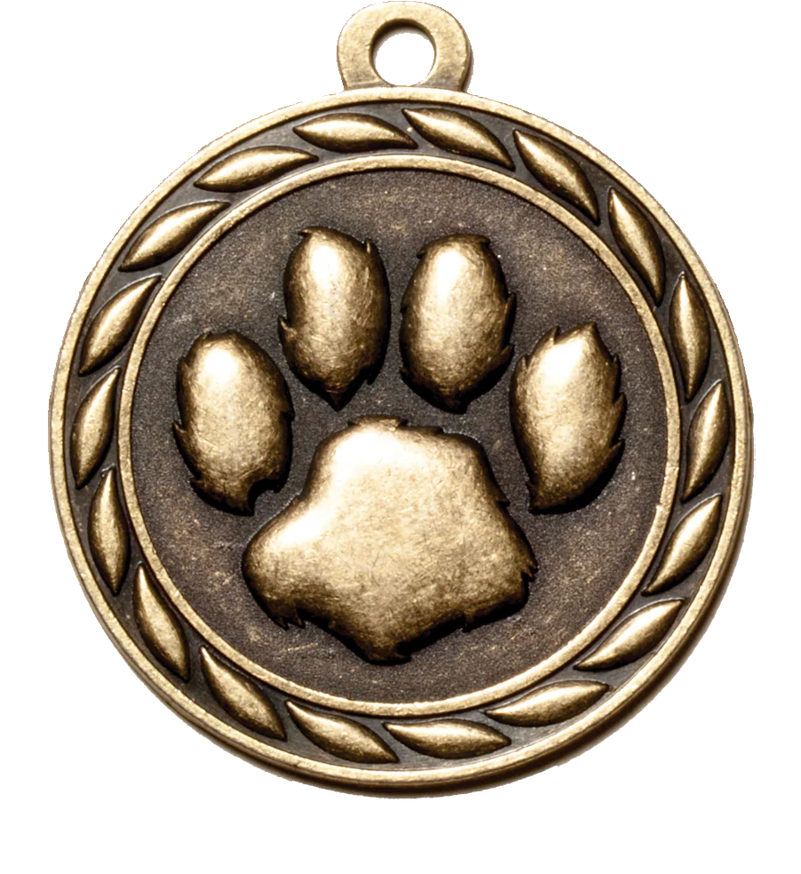 Scholastic Mascot Medal