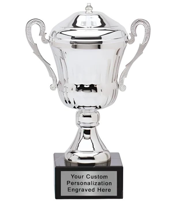 Silver Cup With Lid