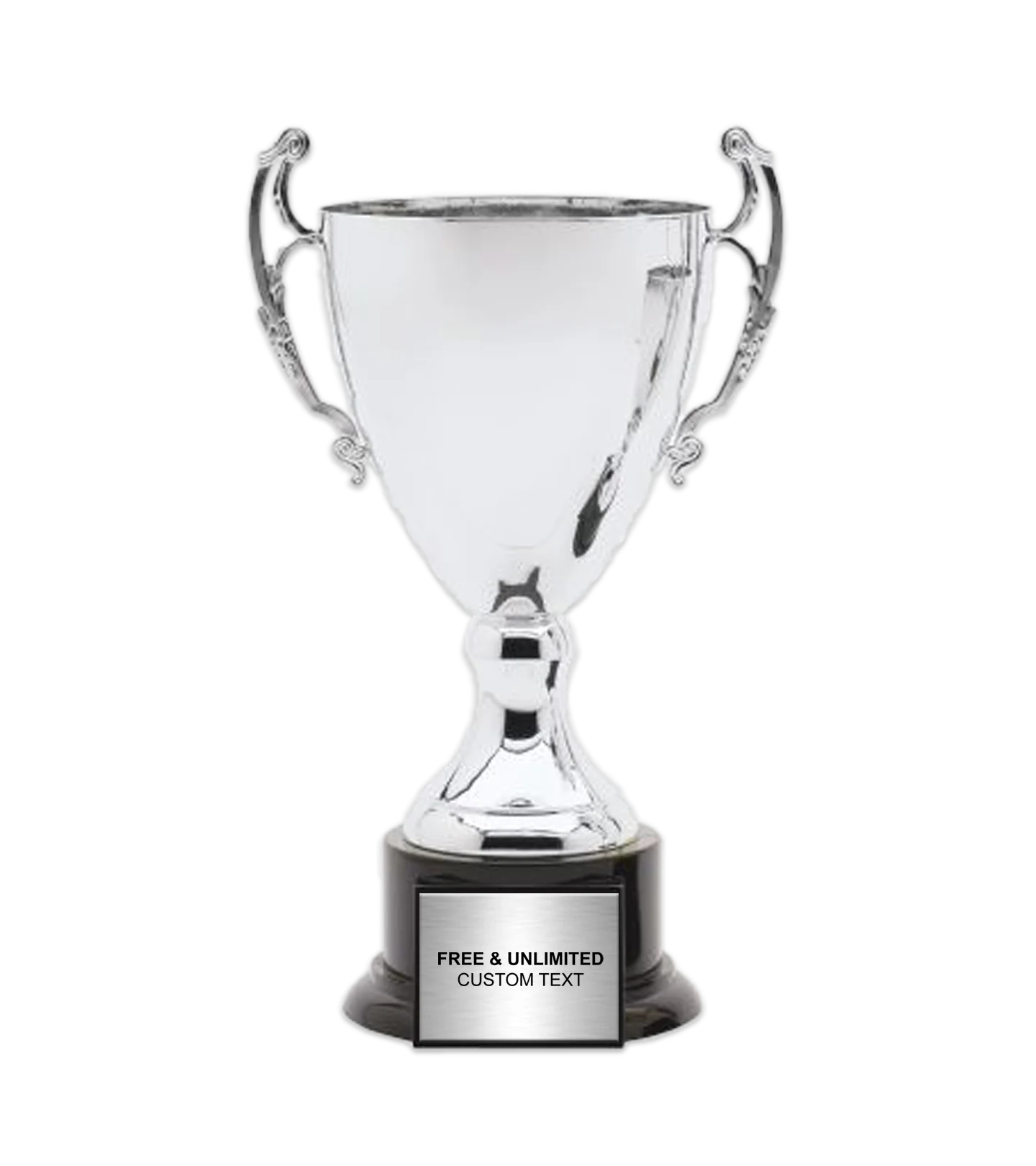 Silver Metal Cup Trophy on Plastic Base