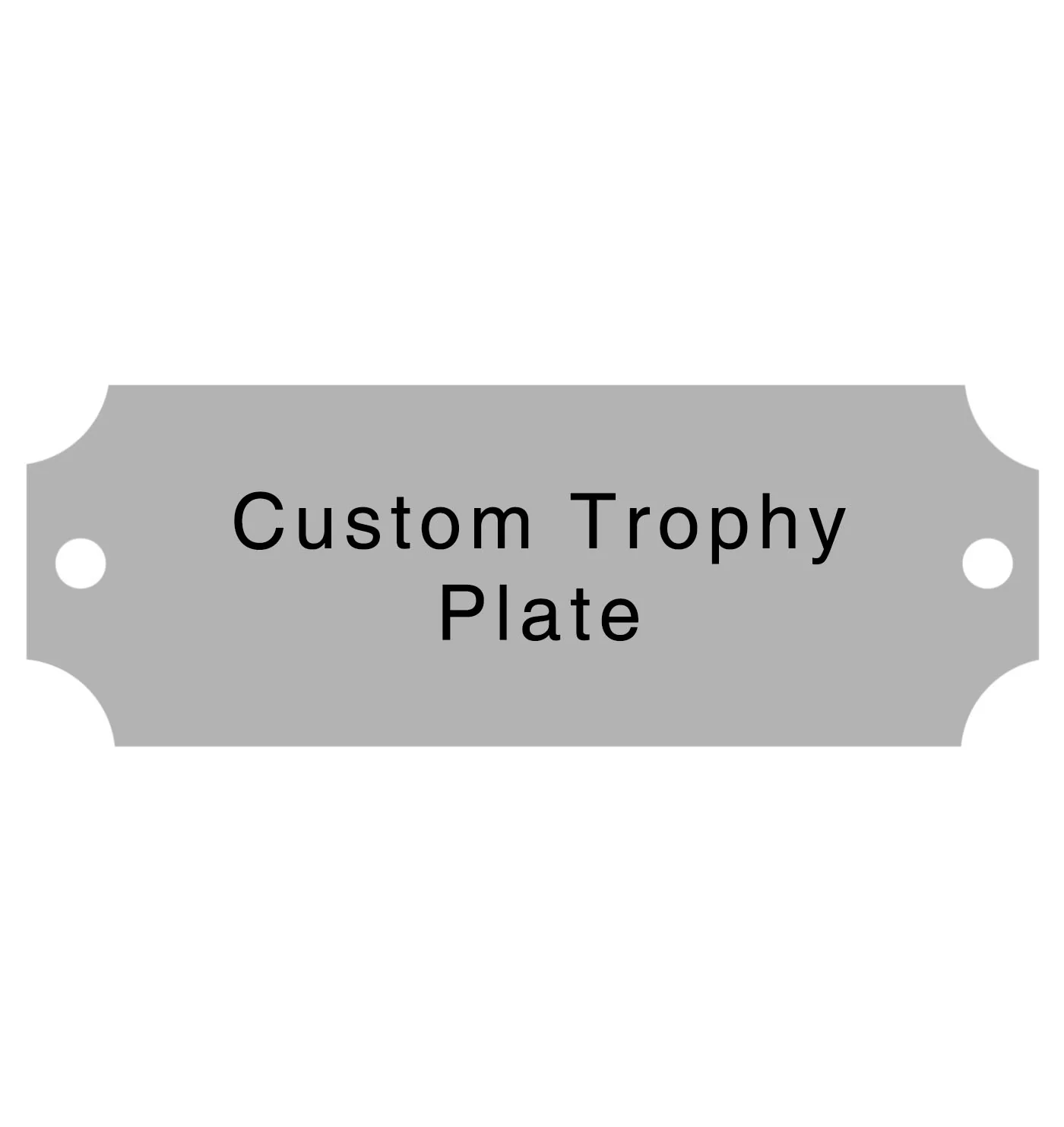 Silver Trophy Plates - Image 4