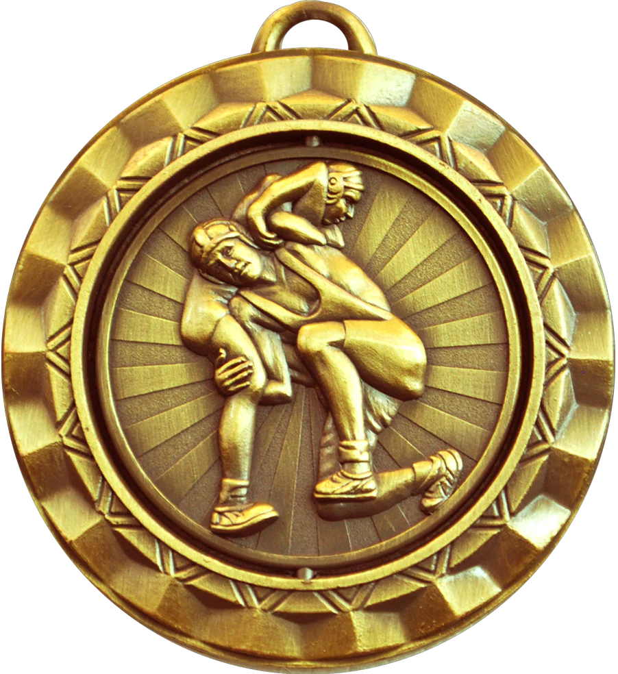 Spin Wrestling Medal