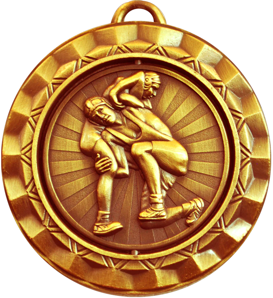 Spin Wrestling Medal - Image 3