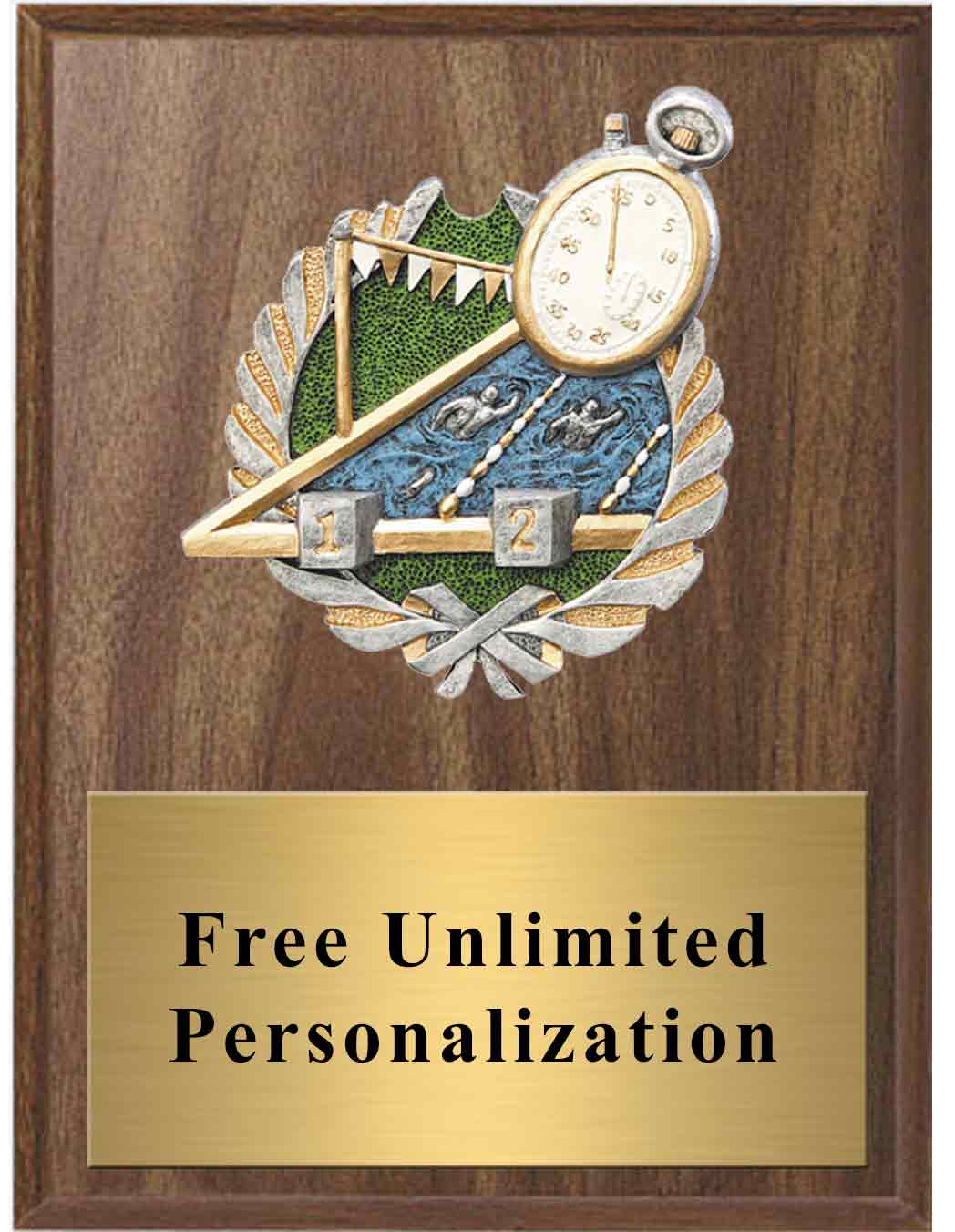 Swimming Millennium Plaque - Image 2