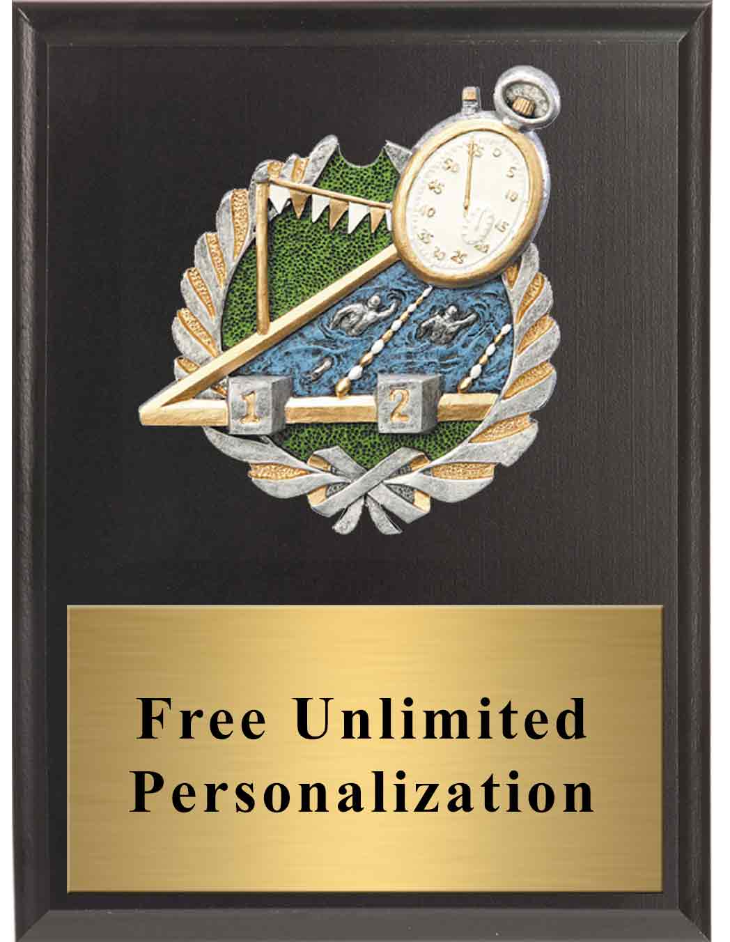 Swimming Millennium Plaque - Image 4