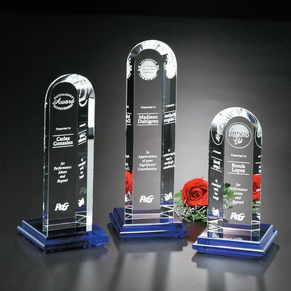 Vision Award - Image 2