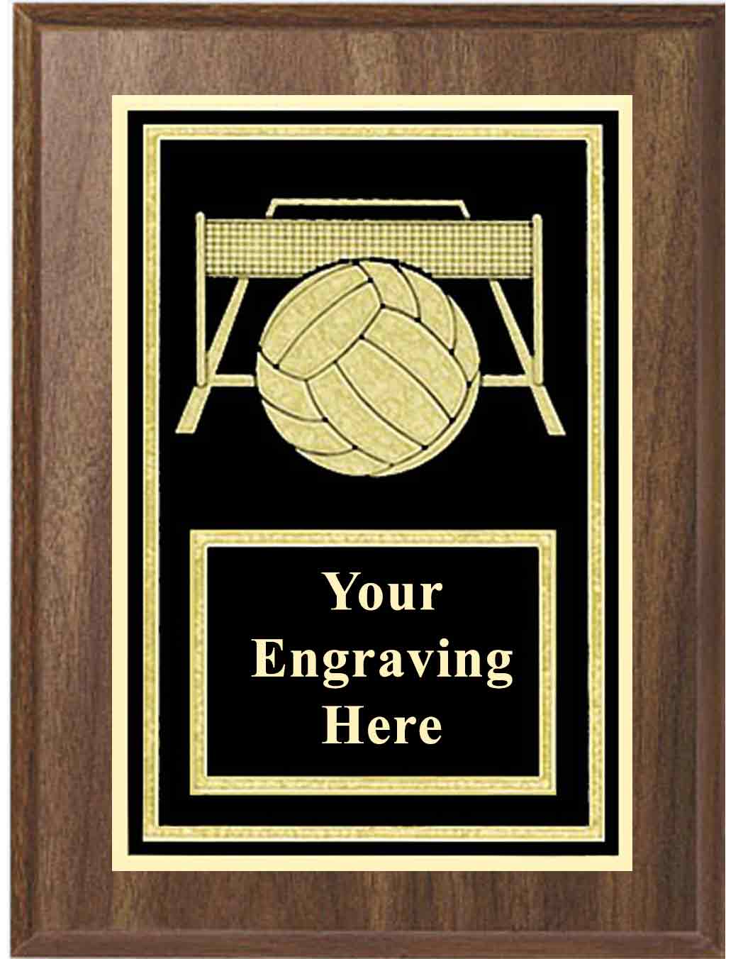 Volleyball Activity Plaque - Image 2