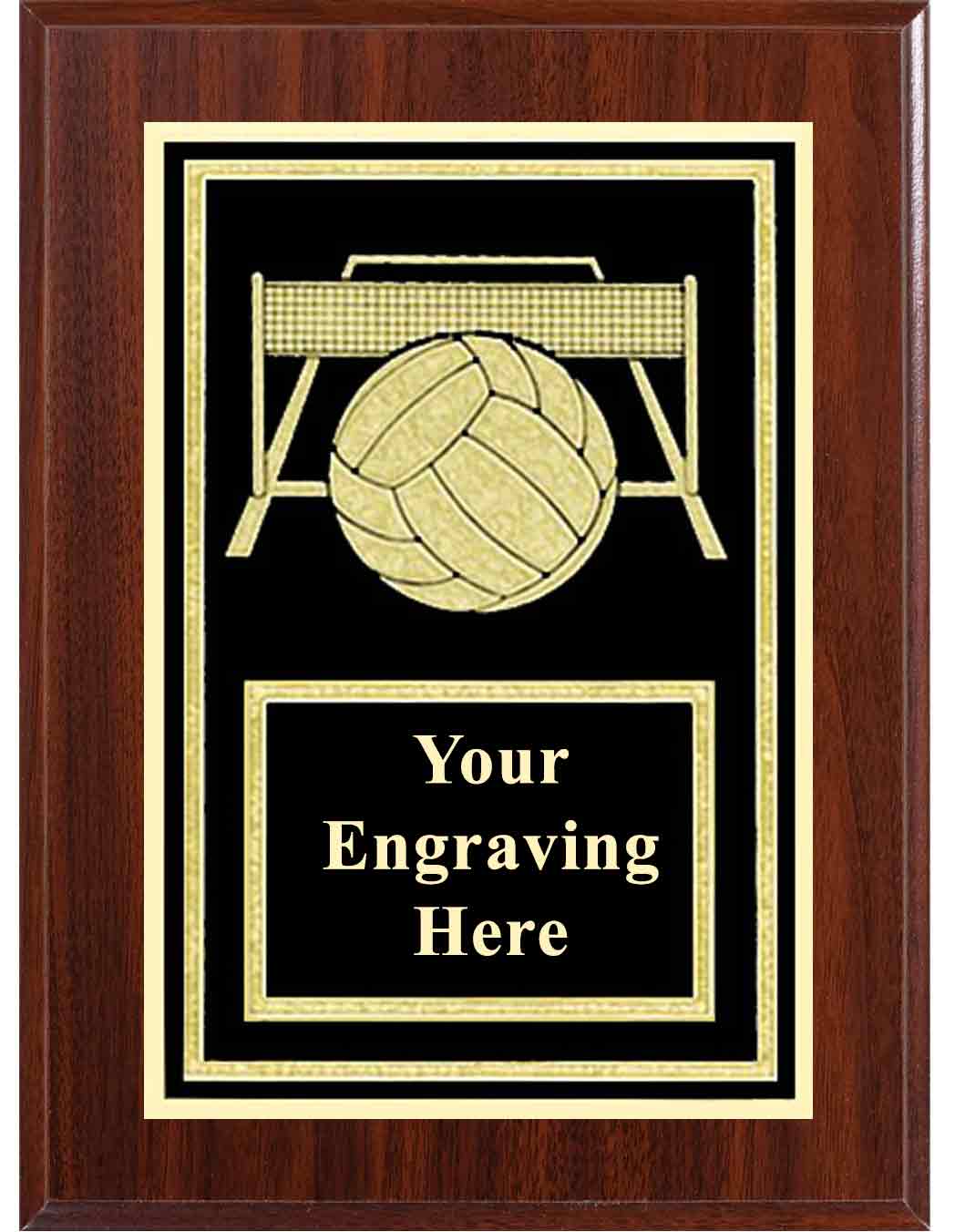 Volleyball Activity Plaque - Image 3