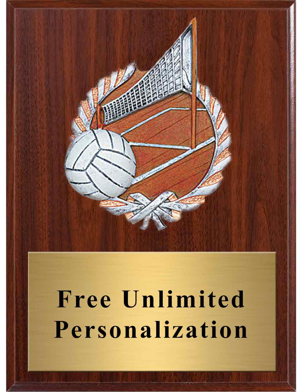 Volleyball Millennium Plaque - Image 3