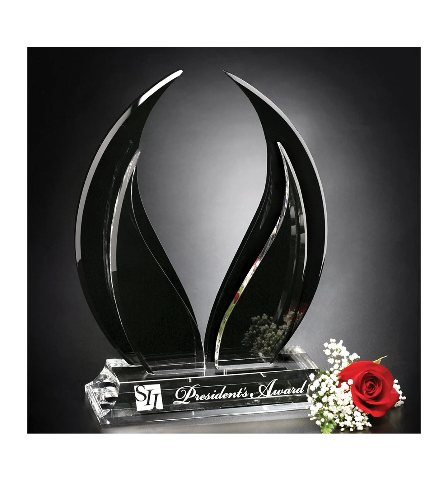 Wings of Peace Award