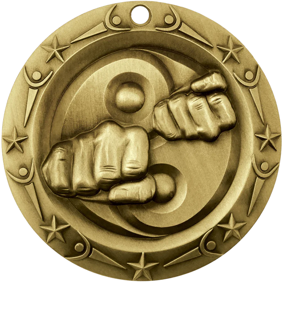 World Class Martial Arts Medal